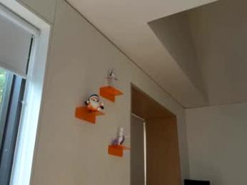 vixenp — Chaturbate recorded stream screenshot (20 May 2025)