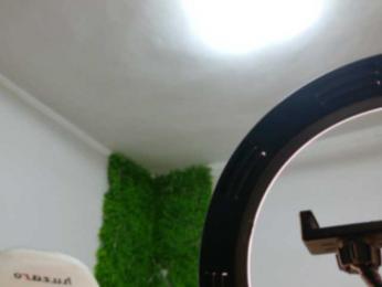 EmilyxJames — Bongacams recorded stream image, 29.05.2025 19:10