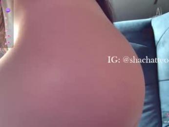 shachatte — Chaturbate recorded stream image, 01.07.2025 08:40