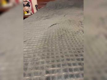 AlinaRay — Bongacams recorded stream image, 12.02.2025 19:20
