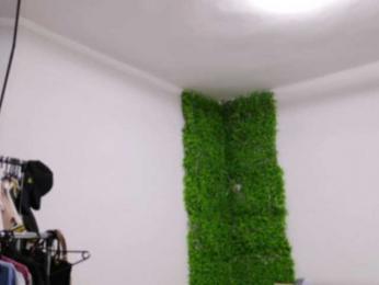 EmilyxJames — Bongacams recorded stream image, 29.07.2025 02:50