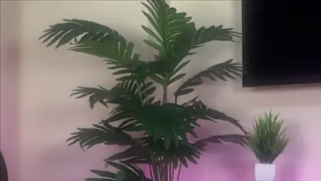 Wow-nisha — Stripchat recorded stream screenshot (05 Aug 2025)