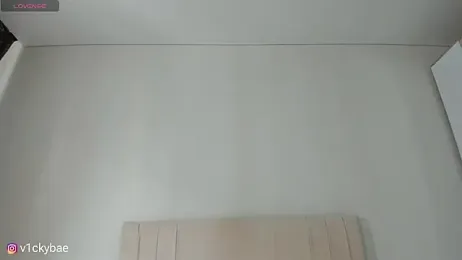sweety_vikky — Stripchat recorded stream image, 18.08.2025 01:00