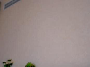 pafosstar — Chaturbate recorded stream screenshot (19 Aug 2025)