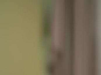 pafosstar — Chaturbate recorded stream screenshot (27 Aug 2025)