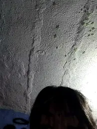 kiittyselenita — Stripchat recorded stream screenshot (28 Aug 2025)