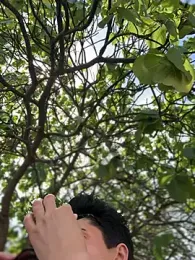 LukeLouHarvey — Stripchat recorded stream image, 29.08.2025 04:30