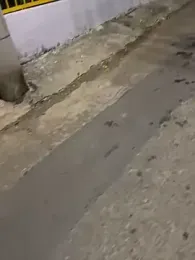 the_queen_of_street — Stripchat recorded stream screenshot (15 Feb 2025)