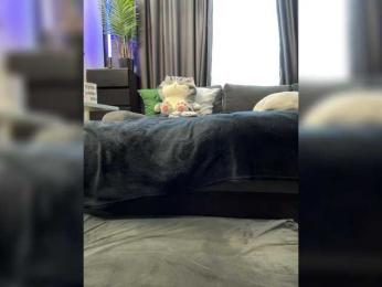 MagicMelody — Bongacams recorded stream image, 09.09.2025 12:10