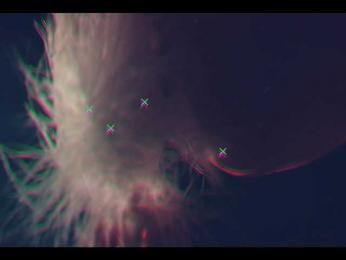 Taanni — Bongacams recorded stream screenshot (11 Sep 2025)