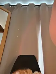 curchez_ — Stripchat recorded stream screenshot (16 Sep 2025)