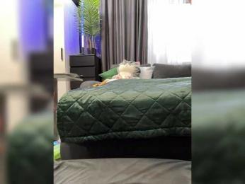 MagicMelody — Bongacams recorded stream image, 19.09.2025 14:40