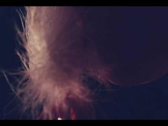 Taanni — Bongacams recorded stream screenshot (19 Sep 2025)