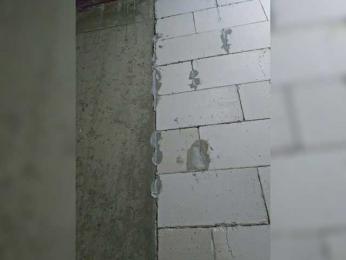 EditaMilf — Bongacams recorded stream image, 05.10.2025 08:00