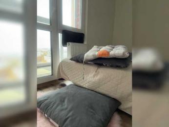 SSaibaliii — Bongacams recorded stream screenshot (17 Oct 2025)