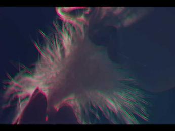 Taanni — Bongacams recorded stream screenshot (17 Oct 2025)