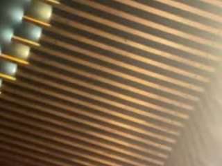 torygrey — Camsoda recorded stream image, 20.02.2025 22:40