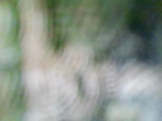 stalliontheesavage — Camsoda recorded stream screenshot (06 Nov 2025)