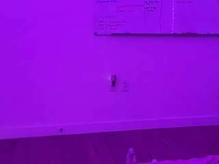 melztube — Camsoda recorded stream image, 09.11.2025 02:50