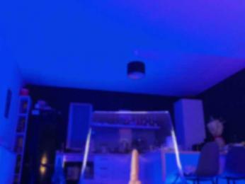 EmilyxJames — Bongacams recorded stream screenshot (15 Nov 2025)