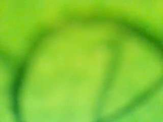 stalliontheesavage — Camsoda recorded stream screenshot (15 Nov 2025)