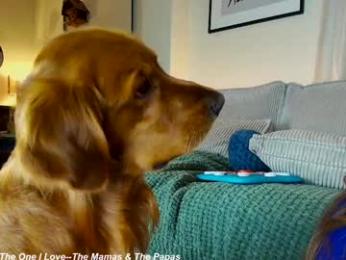 x_lily_x — Chaturbate recorded stream screenshot (19 Nov 2025)