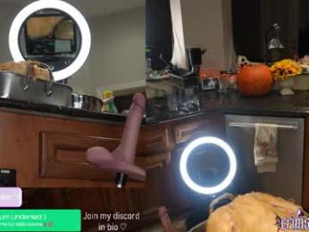 crimsonkitten — Chaturbate recorded stream image, 27.11.2025 04:10