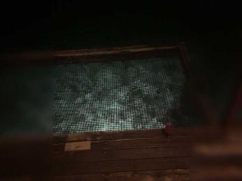 Taanni — Bongacams recorded stream screenshot (27 Nov 2025)