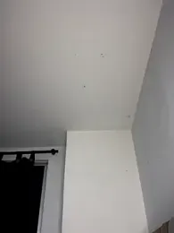 RsellAmb — Stripchat recorded stream image, 16.12.2025 03:10
