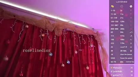 roselinedior — Stripchat recorded stream image, 31.12.2025 17:00