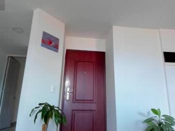 alexander_martines — Chaturbate recorded stream image, 01.01.2026 17:20