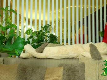 FlowwwerGirl — Bongacams recorded stream screenshot (10 Jan 2026)