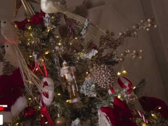 Taanni — Bongacams recorded stream screenshot (23 Jan 2026)