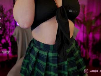 Careful_i_Bite — Bongacams recorded stream image, 26.01.2026 13:50