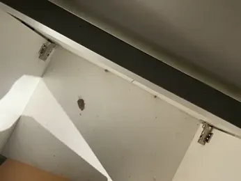 trash4cash — Stripchat recorded stream screenshot (28 Jan 2026)