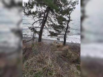 Alex80-201 — Bongacams recorded stream screenshot (07 Feb 2026)