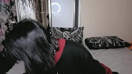 GraypacLive — Stripchat recorded stream image, 07.02.2026 14:40