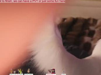 lissa_meooow — Chaturbate recorded stream image, 11.02.2026 06:20