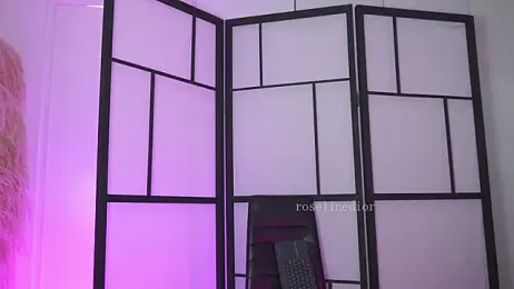 roselinedior — Stripchat recorded stream image, 14.02.2026 15:30