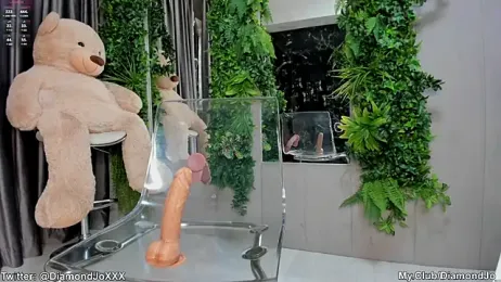 DiamondJo_ — Stripchat recorded stream image, 31.01.2025 05:00