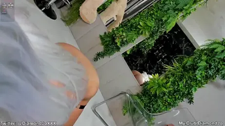 DiamondJo_ — Stripchat recorded stream image, 31.01.2025 05:00