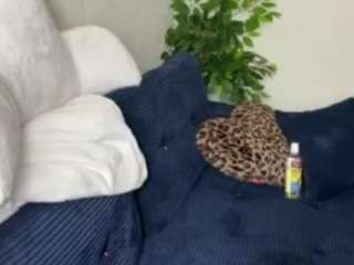 iambaldheadbrittany — Camsoda recorded stream image, 26.02.2026 14:00