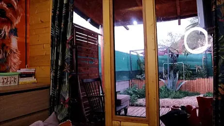 LittleMe97 — Stripchat recorded stream screenshot (27 Feb 2026)