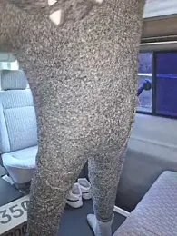 pachapeter — Stripchat recorded stream image, 01.03.2026 15:50