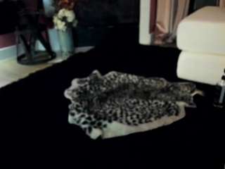 giannalove — Camsoda recorded stream screenshot (04 Mar 2026)