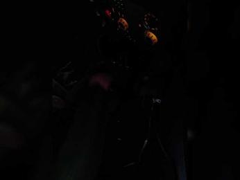 Angelia22 — Bongacams recorded stream screenshot (08 Mar 2026)