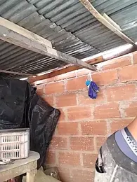 hoteder — Stripchat recorded stream image, 11.03.2026 12:20