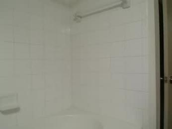 bigdicktrannynicole — Chaturbate recorded stream screenshot (13 Mar 2026)