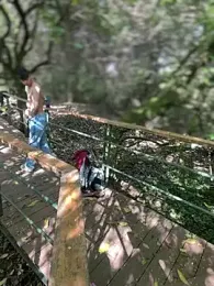 yoursexyjose — Stripchat recorded stream screenshot (13 Mar 2026)