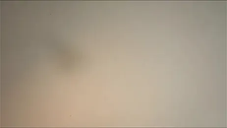 happynewdear — Stripchat recorded stream screenshot (13 Mar 2026)